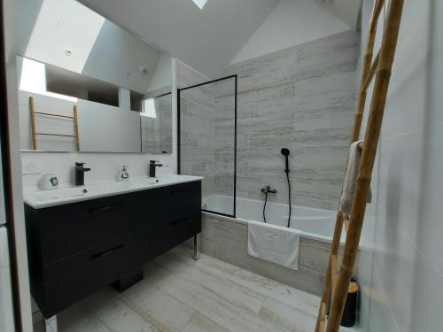 Bilik mandi di Charmant et spacieux appartement à quelques pas du lac