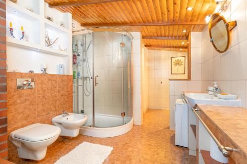 uma casa de banho com um WC, um chuveiro e um lavatório. em Domek letniskowy Kamień 84-217 ul. Zielona 2 em Kamień