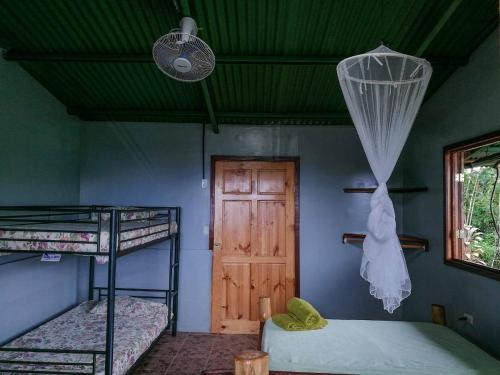 a room with two bunk beds and a door at Vista Alta Ecolodge Bahia Drake in Drake