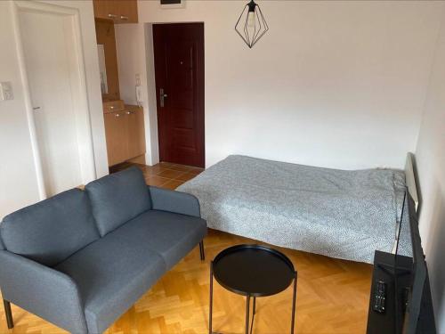 een woonkamer met een bank en een bed bij Apartman Tea in Bijeljina