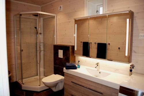 a bathroom with a shower and a sink and a toilet at Lille Herstrand - A unique seaside getaway in Meløyskagen