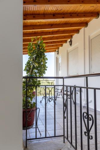 a balcony with a table and a potted plant at Αnastasia apartments in Mavrovoúnion