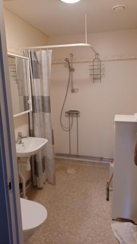 a bathroom with a shower and a sink at Förvaltarbostaden in Åtvidaberg