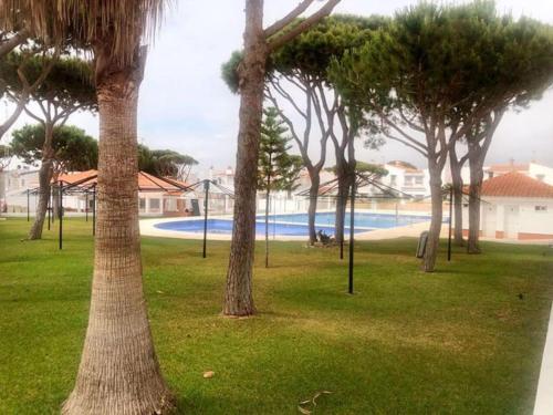un gruppo di palme in un parco con piscina di Duplex Las Torres La Barrosa 3Beds - A 700m de la playa a Chiclana de la Frontera