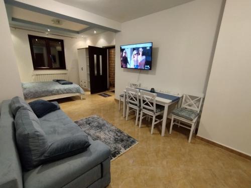 een woonkamer met een bank en een tv aan de muur bij Oli Umag in Umag
