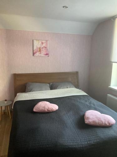 a bedroom with a bed with two pink pillows on it at Dzìvoklis pie jùras in Ventspils