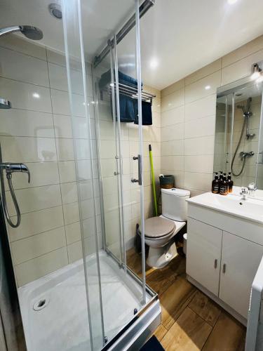 une salle de bain avec douche et toilettes dans l'établissement Joli Studio sur le Port, à Cannes