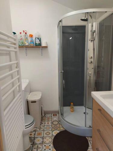une salle de bain avec une douche, des toilettes et un lavabo dans l'établissement Maisonnette avec terrasse privative, à La Ciotat