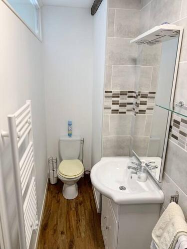 a white bathroom with a toilet and a sink at Millstone Gite 1, two bed apartment + shared pool in Chassenon
