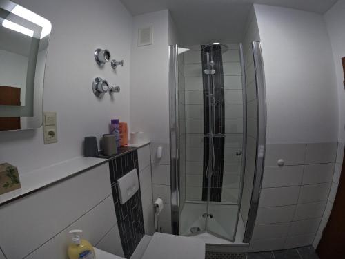ヴィンターベルクにあるModerne 3 Zi Ferienwohnungのバスルーム(ガラスドア付きのシャワー付)