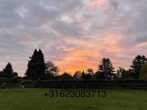 a sunset in a field with a timestamp in the foreground at Charming authentic renovated farm in Cadier en Keer