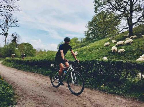a man riding a bike down a dirt road with sheep at Charming authentic renovated farm in Cadier en Keer