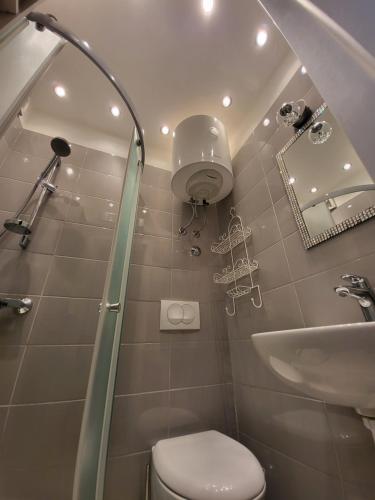 ein Bad mit einer Dusche, einem WC und einem Waschbecken in der Unterkunft Mini Villa Punta in Zadar