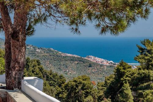 a view of the ocean from a tree at Villa Koukounaria in Skopelos Town