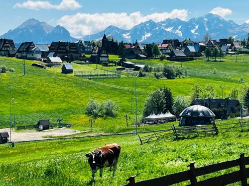 Domki Tatrzańskie Kącina