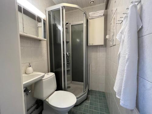 a bathroom with a shower and a toilet and a sink at Huoneisto karhujen kaupungissa - Tapanintien Lumo in Ähtäri