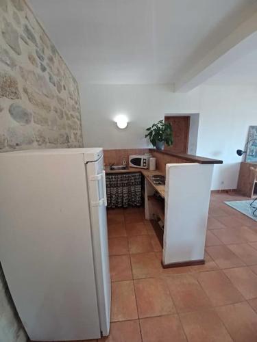een keuken met een witte koelkast en een aanrecht bij Studio dans un Domaine viticole in Vauvert