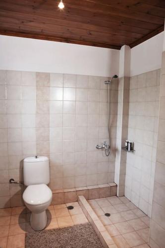 a bathroom with a toilet and a shower at Bezeniko Amazing Arcadian Property! in Vlakhérna