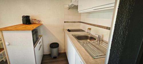 une petite cuisine avec un évier et un réfrigérateur dans l'établissement Studio Cosy le Malicieux, à Saint-Lary-Soulan
