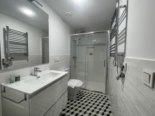 a bathroom with a shower and a sink and a toilet at housingcoruña SAN NICOLAS 27 in A Coruña