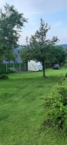 a green yard with a tree and a fence at Apartmani Beslic in Kremna