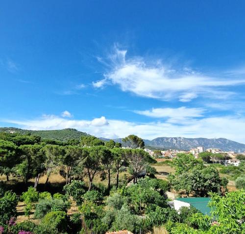 Afbeelding uit fotogalerij van La Corte Liberty Rosa in Iglesias
