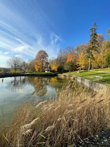 a view of a pond in a park at Domaine de l’Orangerie - La Suite Eucalyptus in Boissise-la-Bertrand
