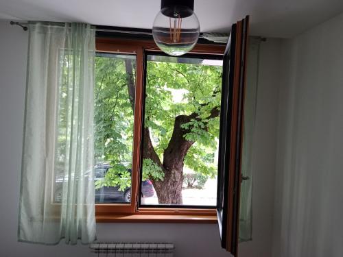 a window in a room with a tree at Sava apartment in Novi Sad