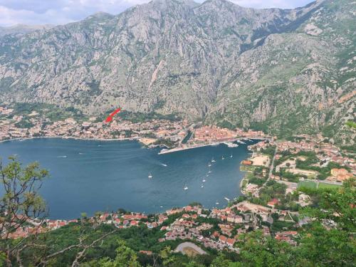 a view of a bay with boats in the water at Apartments Lazarević in Kotor