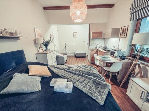 Kuchyňa alebo kuchynka v ubytovaní Apartament pod brzozami -Tomaszkowo
