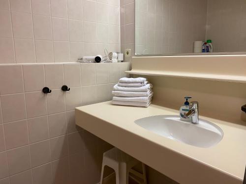 een badkamer met een wastafel, een spiegel en handdoeken bij FAMILIENAPPARTMENT MIT GARTEN - Gerlitzen in Deutschberg