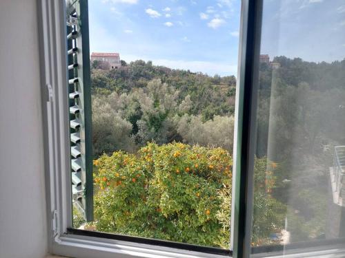 Gallery image of Orange Tree House in Šipanska Luka