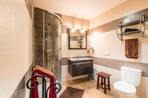 a bathroom with a shower and a toilet and a sink at Restaurante & Casa Rural Boada in Villamiel