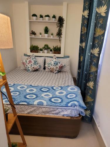 a small bedroom with a bed and plants on shelves at Dhairya's Villa Home Away From Home in Jammu