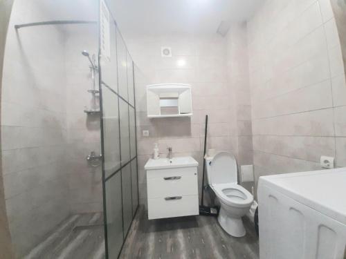 y baño con aseo, lavabo y ducha. en Apart Pro, en Uzhhorod