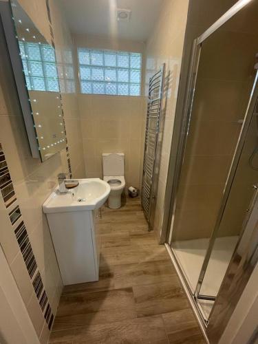 a bathroom with a toilet and a sink and a shower at Bellair House in Cluain na Slí