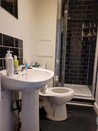 a bathroom with a sink and a toilet and a shower at Cosy Glasgow Southside Flat in Glasgow