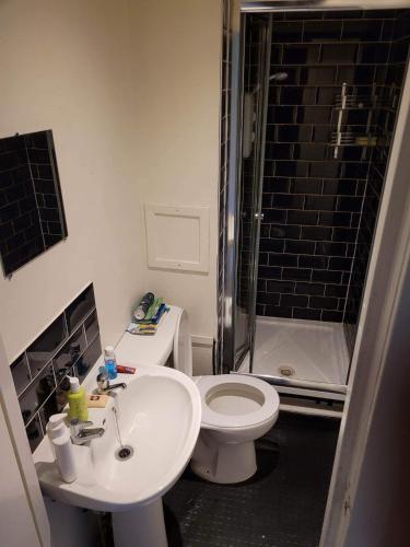 y baño con aseo, lavabo y ducha. en Cosy Glasgow Southside Flat en Glasgow