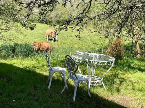 two chairs and a table and two cows in a field at Caserío El Ronzón in Camoca de Abajo