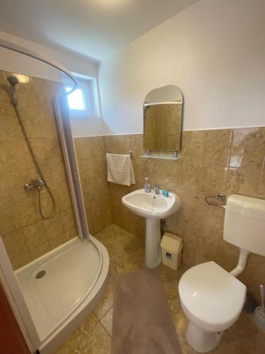 a bathroom with a sink and a toilet and a shower at Pensiunea Hétvezér Panzió in Sub Cetate