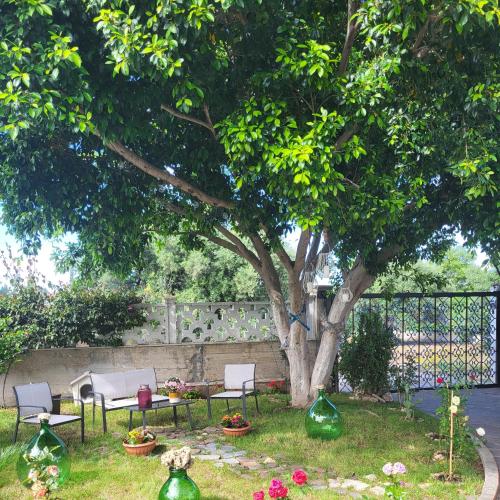 SELLUKA HOME – Photos 4