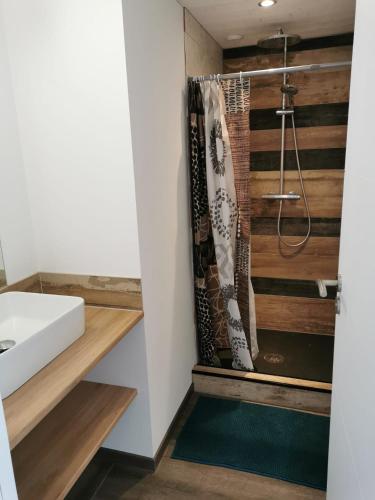 une salle de bain avec douche et lavabo dans l'établissement L îlot du Courseau, au Bois-Plage-en-Ré