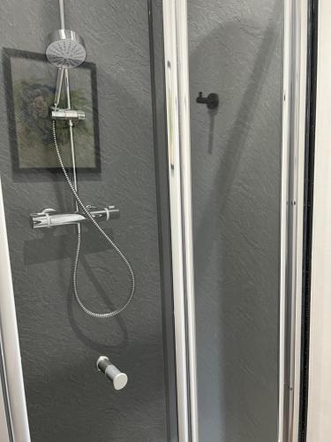a glass door with a shower with a hose at Glastonbury Hideaway in Glastonbury