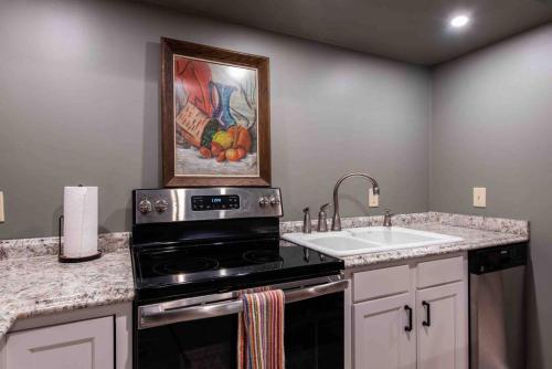 a kitchen with a stove and a sink at Three Bedroom Apartment In Historic Nulu Property in Louisville