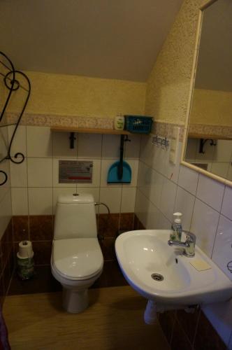 y baño con aseo y lavamanos. en Bociani domek u Barbary en Giże