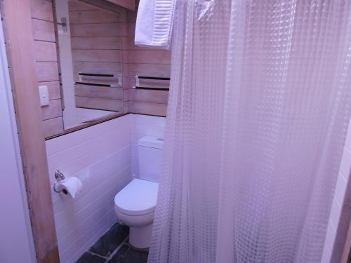 a bathroom with a toilet and a shower curtain at Crackenback Farm Guesthouse in Crackenback