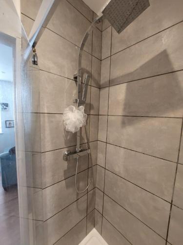 a shower with a glass door in a bathroom at Nice and comfortable Shared Flat in Surbiton in Malden