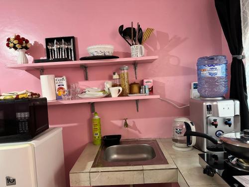 kuchnia ze zlewem i różową ścianą w obiekcie Ruth's Studio - Kericho w mieście Kericho