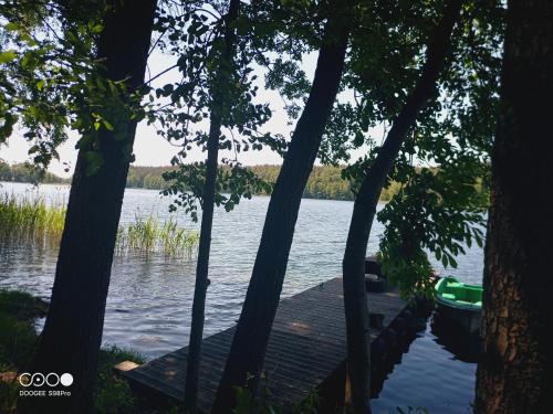 a dock on a lake with a boat in the water at Sosnowy Raj - domki na Mazurach in Maradki