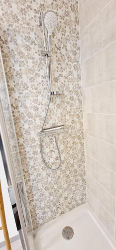 La salle de bains est pourvue d'une douche avec un pommeau de douche. dans l'établissement Appartement Mont-Blanc - 3 étoiles, à Gillon